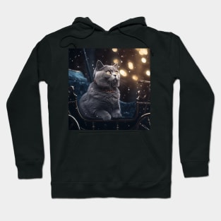 British Shorthair In Winter Hoodie